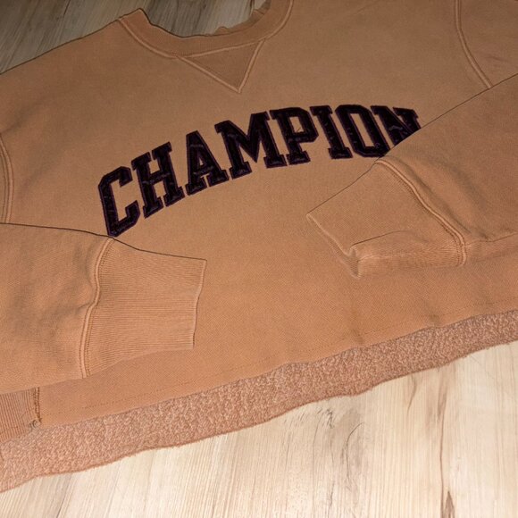 Dyed Tan and Plum Champion Crop SweatShirt - Picture 6 of 8